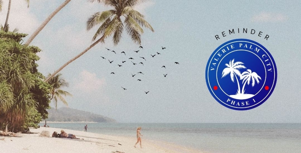 valerie palm city phase 1