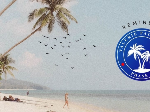 valerie palm city phase 1