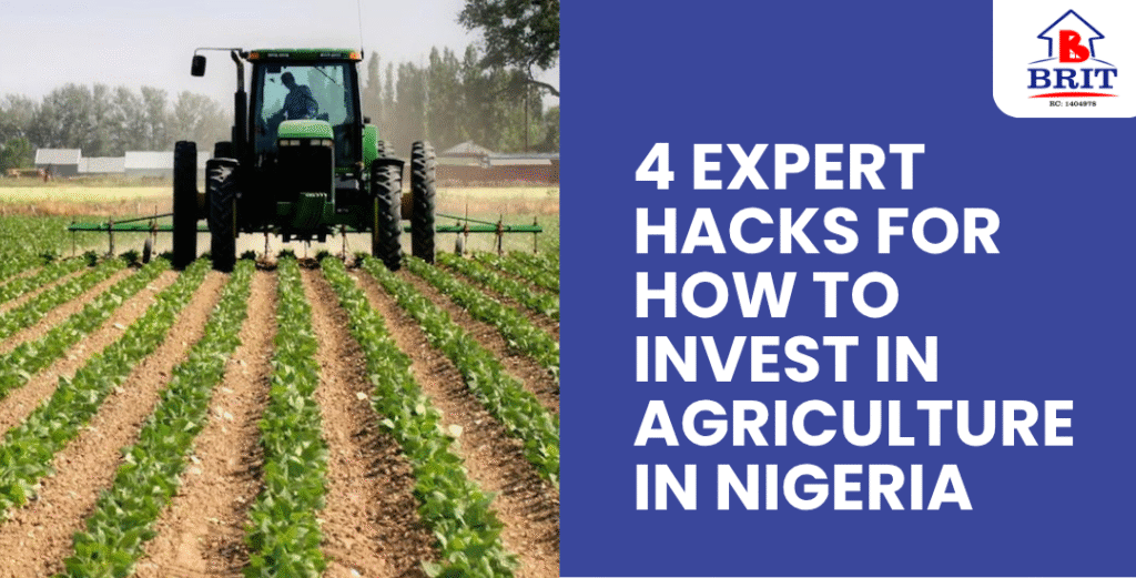 4 Expert Hacks for How to Invest in Agriculture in Nigeria